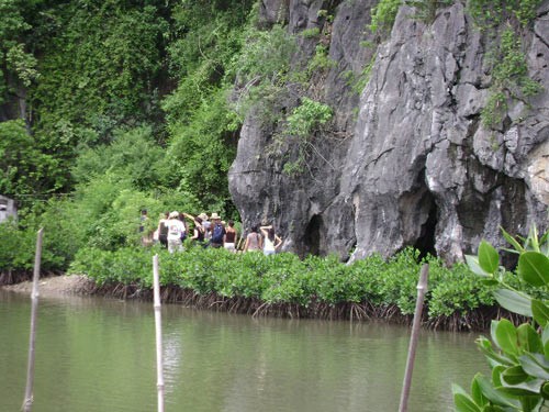 ទួរទេសចរណ៍ប្រថុយប្រថាននៅ Cat Ba - ảnh 2